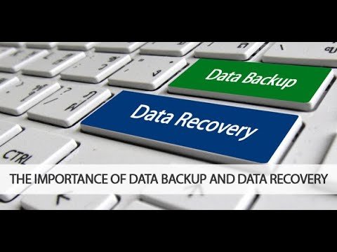 Importance of Data Backup for Businesses