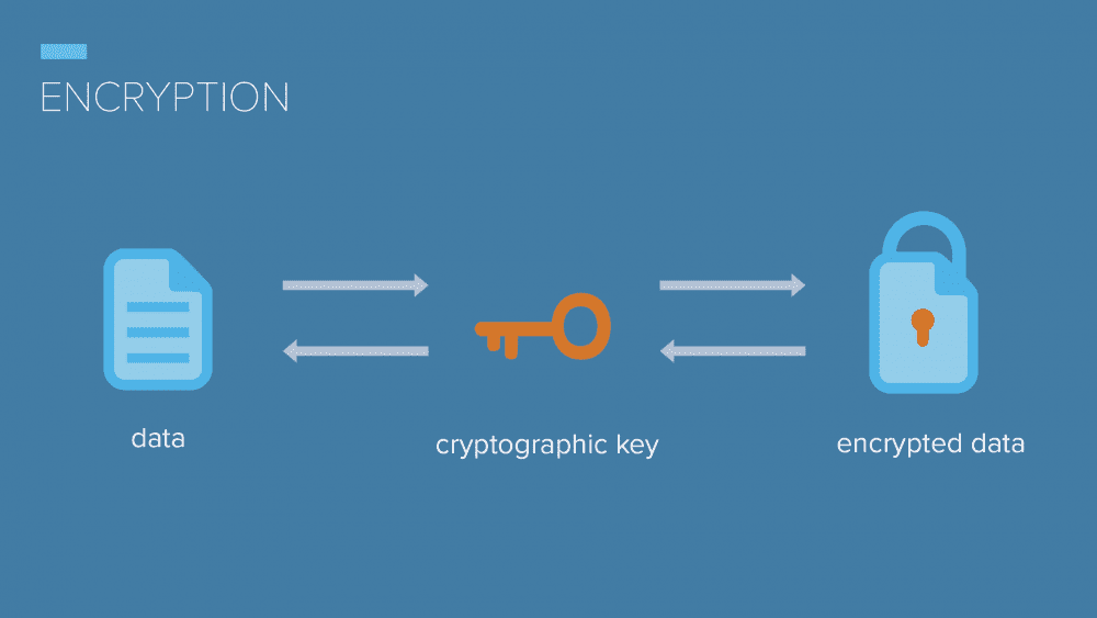 Data Encryption and Privacy Measures