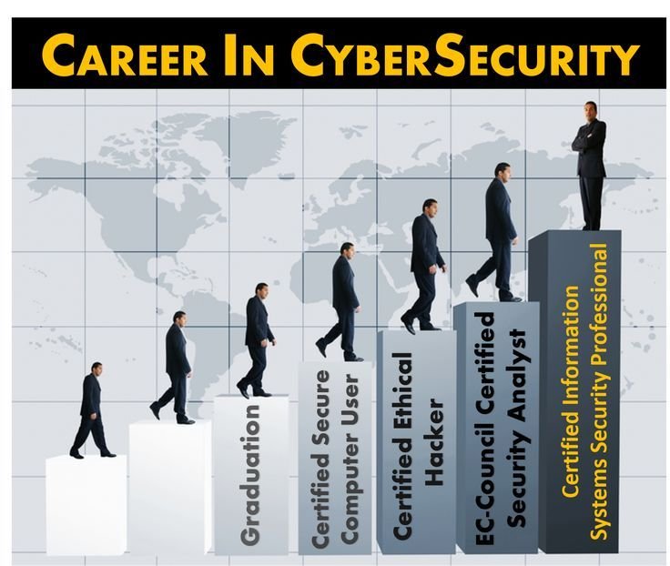 Career