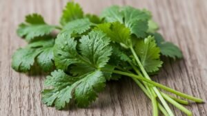 Koriandri in Global Cuisines: From Mexican Salsas to Asian Curries